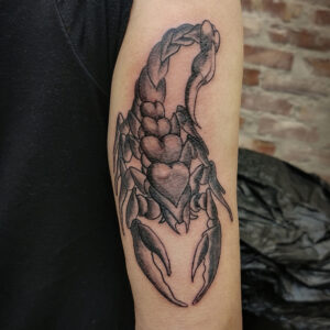 Tatuering av scorpion på arm.